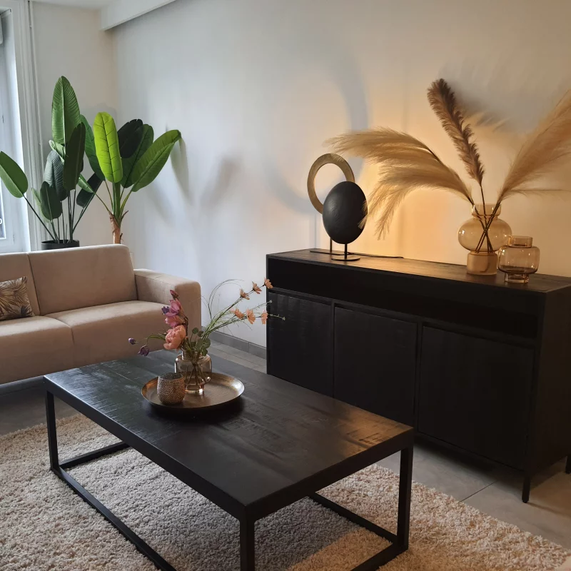 Living room with coffe table, cupboard and couch