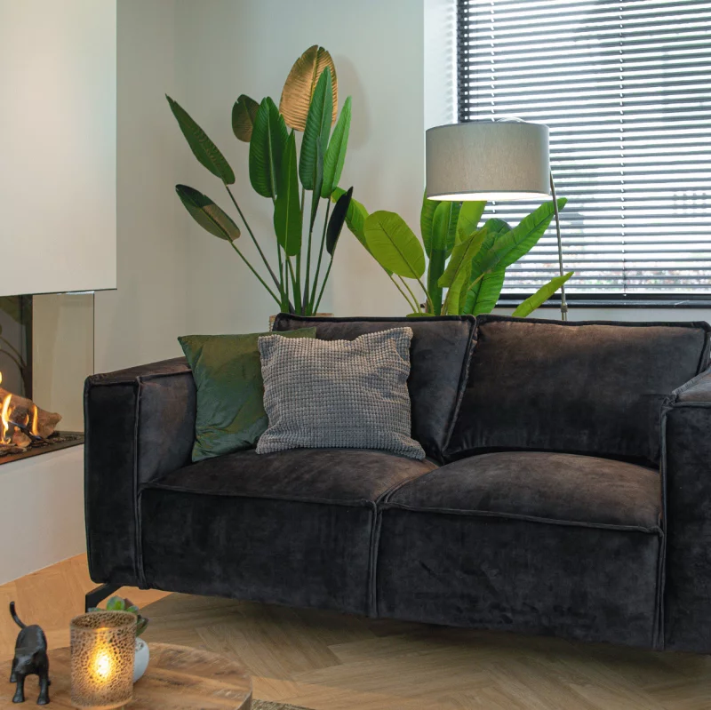 Black couchw ith grey and green pillow in front of plants and lamp