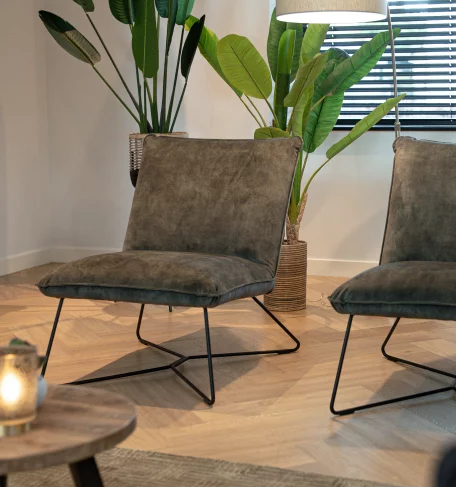  Wohnzimmer mit Stühlen und Pflanzen