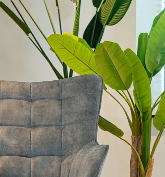 Plant behind a grey chair