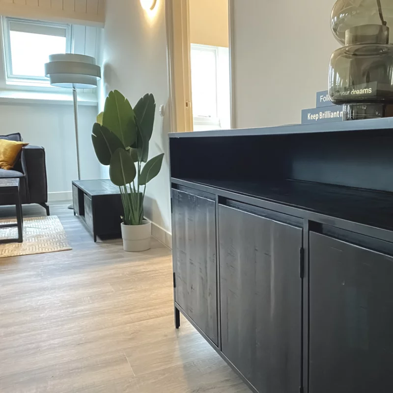 Moderne Wohnung mit Zubehör und einer Pflanze