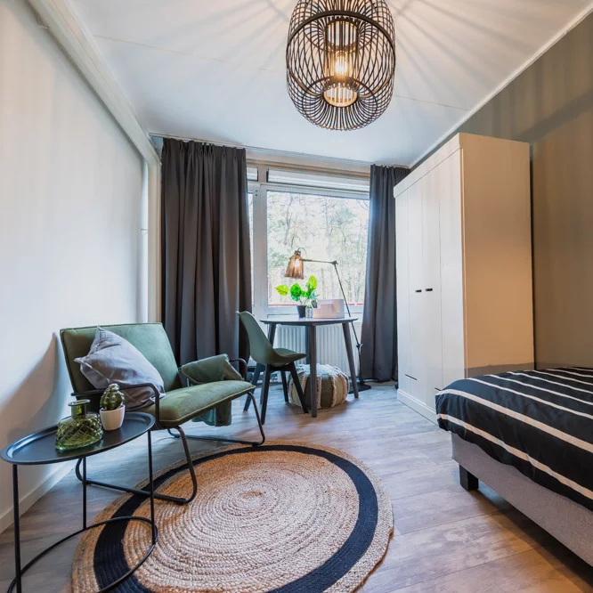 Zimmer für Studenten mit Bett, rundem Teppich, Tisch und Stuhl